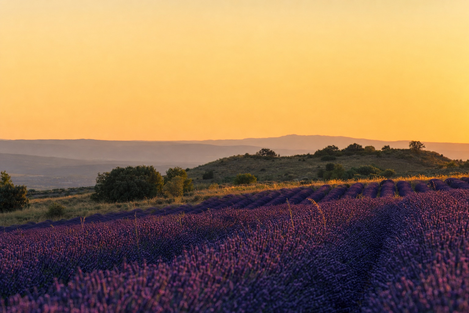 Lire le paysage dans les cartes postales anciennes